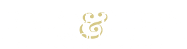 Brian Gibbs and Associates AI light logo
