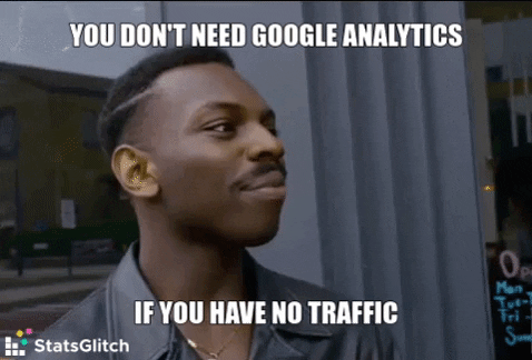 You don't need Google Analytics, if you have no traffic