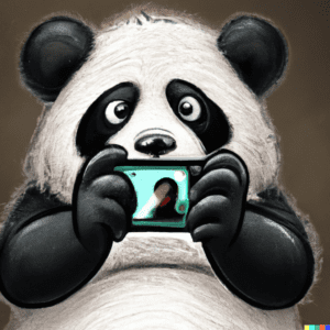 Panda shooting a short-form videos using phone