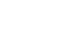 White Fox News logo with stylized rays extending from the letter 